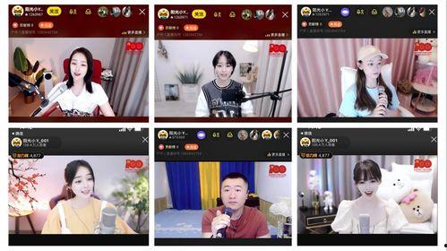 吃瓜大赛在线视频直播