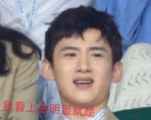 娱乐八卦吃瓜白敬亭